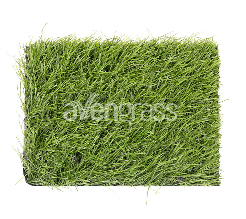 Искусственная трава PowerGrass - 2 